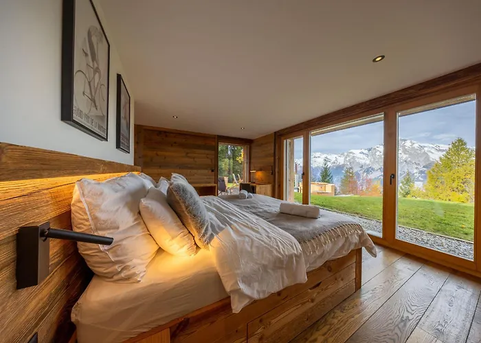 Cimes And Dreams - Petit Coin De Paradis Fey (Nendaz)